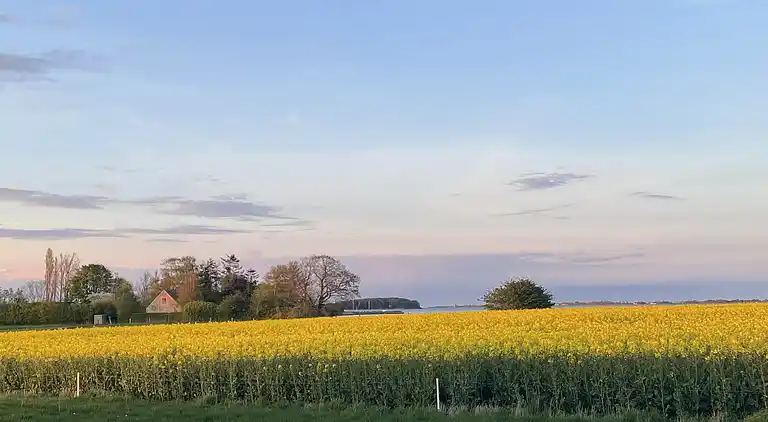 Renoviertes Landhaus 50 m vom Wasser