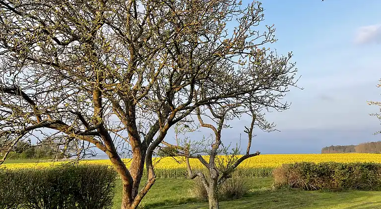 Renoviertes Landhaus 50 m vom Wasser
