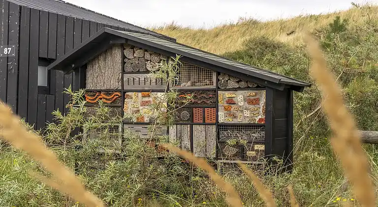 Sommerhus i Zandvoort