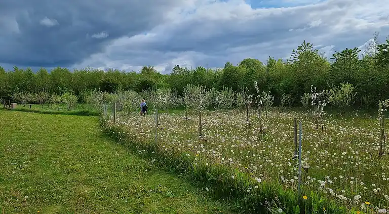 Holiday home in Aabenraa Municipality