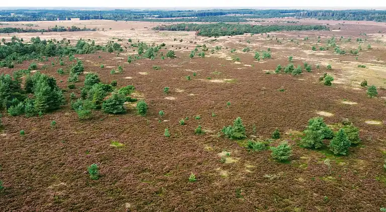 Holiday home in Hovborg