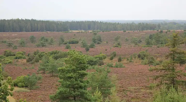 Holiday home in Hovborg