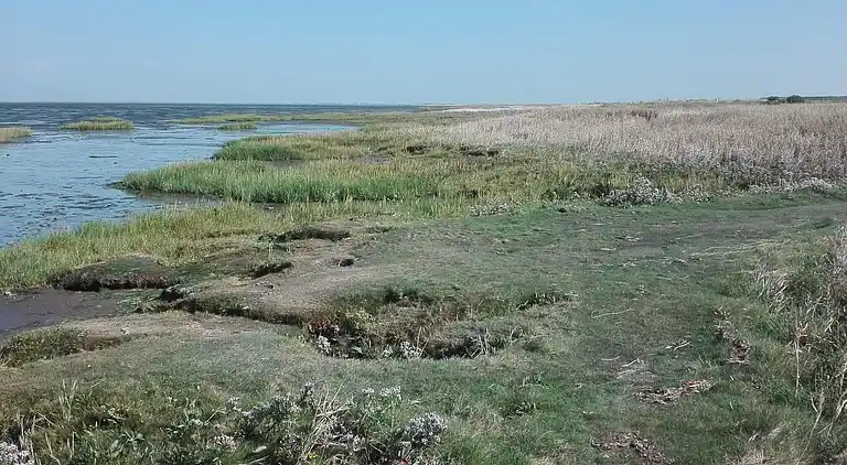 Holiday home in Bredebro