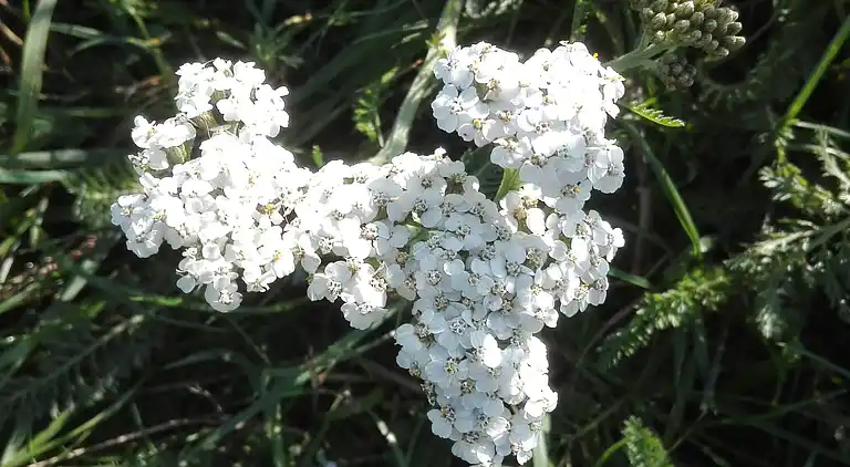 Holiday home in Bredebro