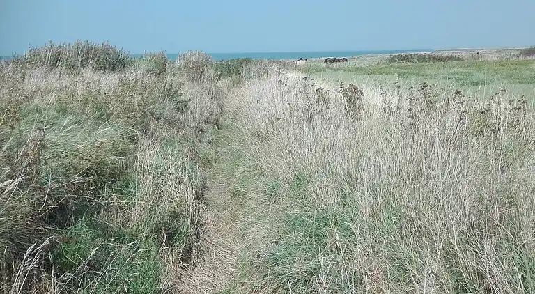 Holiday home in Bredebro