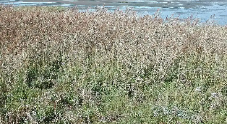 Holiday home in Bredebro