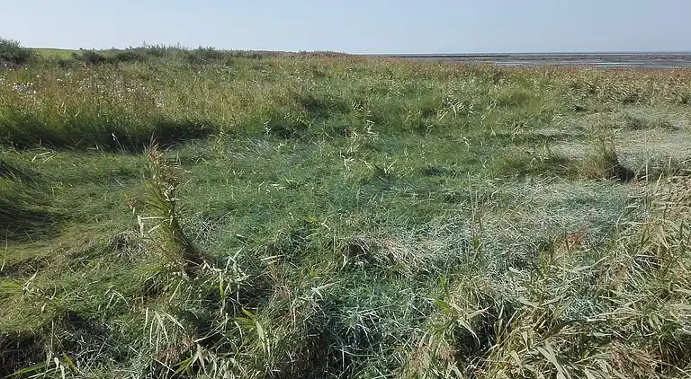 Holiday home in Bredebro