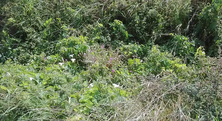 Holiday home in Bredebro