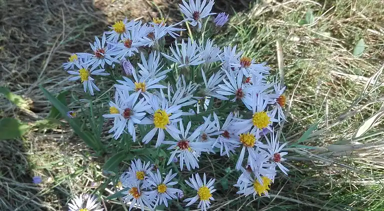 Holiday home in Bredebro