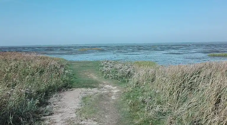 Holiday home in Bredebro