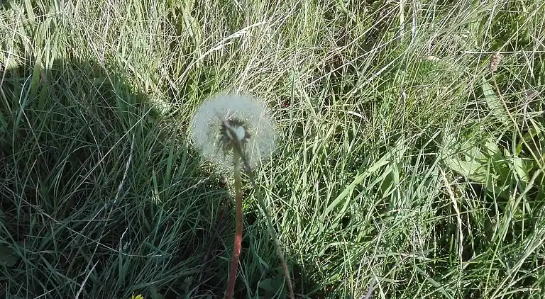 Holiday home in Bredebro