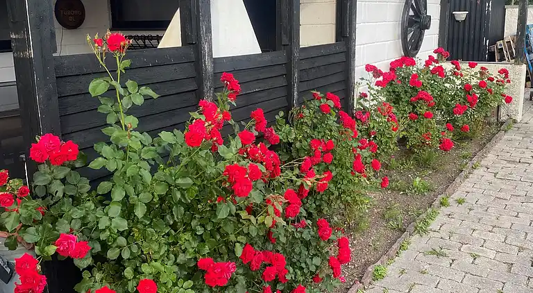 Hyggeligt Sommerhus med Fjordudsigt