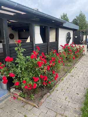 Cozy Summer House with Fjord View