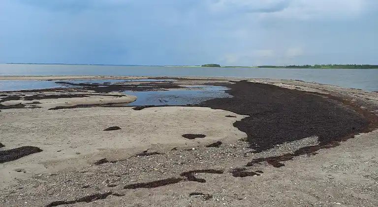 Holiday home in Thyholm