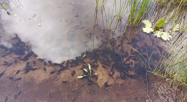 Casa vacanze in Jegum