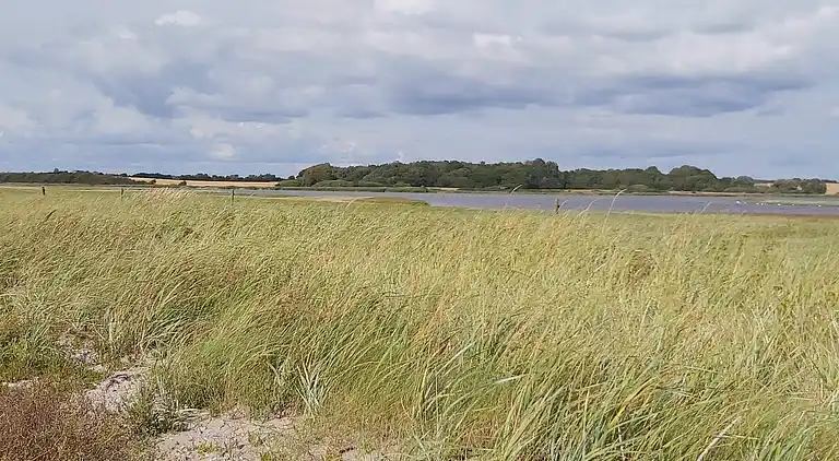 Ferienhaus in Assens