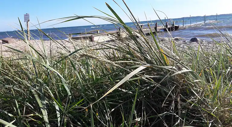 Ferienhaus in Assens