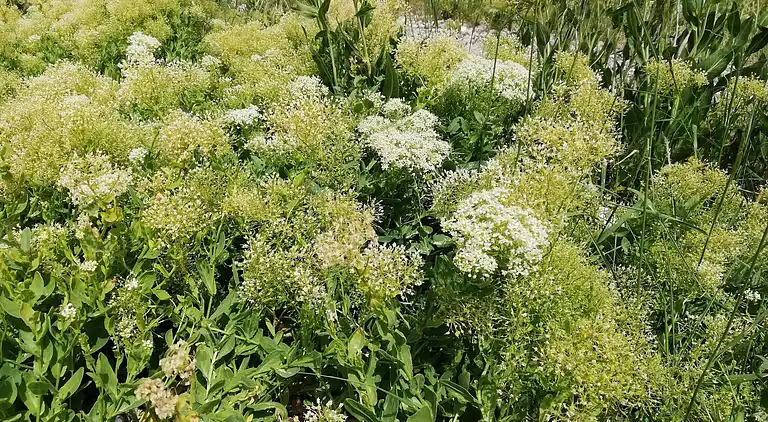 Holiday home in Ærøskøbing