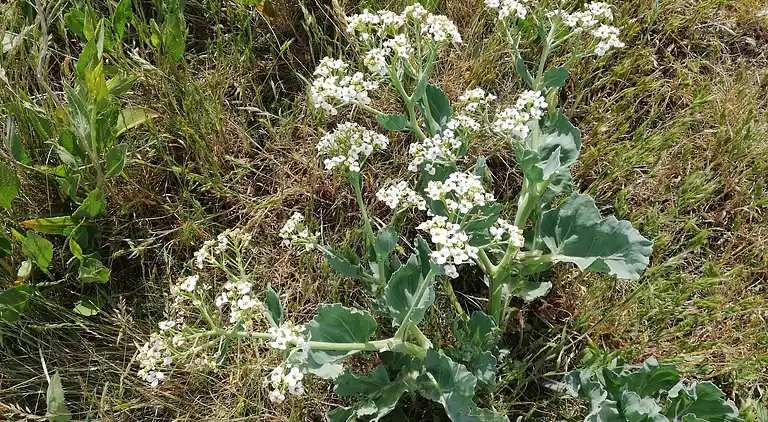Holiday home in Ærøskøbing