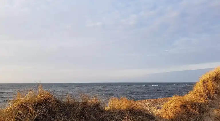 Sommerhus ved Lild Strand