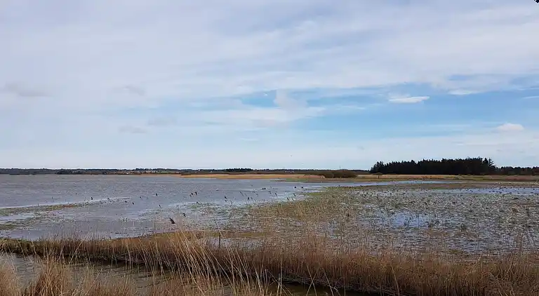 Sommerhus ved Lild Strand
