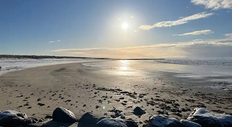 Sommerhus i Blåvand