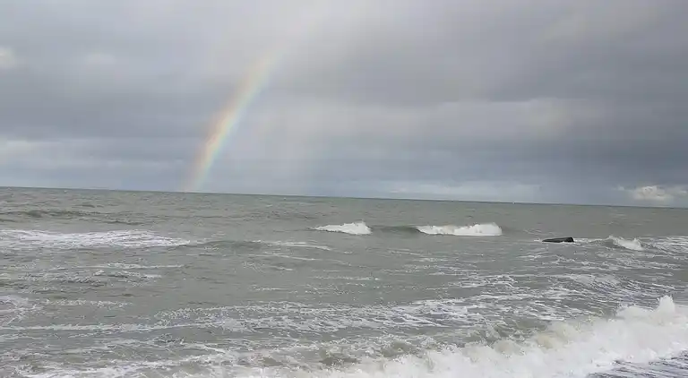 Sommerhus ved Lild Strand