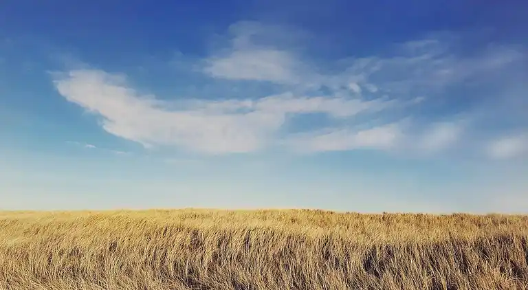 Sommerhus ved Lild Strand