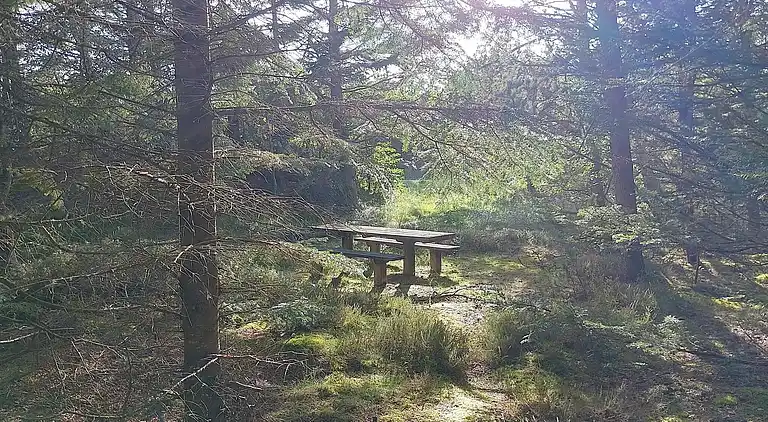 Sommerhus ved Lild Strand