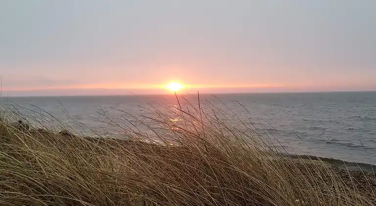 Sommerhus ved Lild Strand