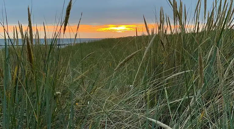 Sommerhus i Blåvand