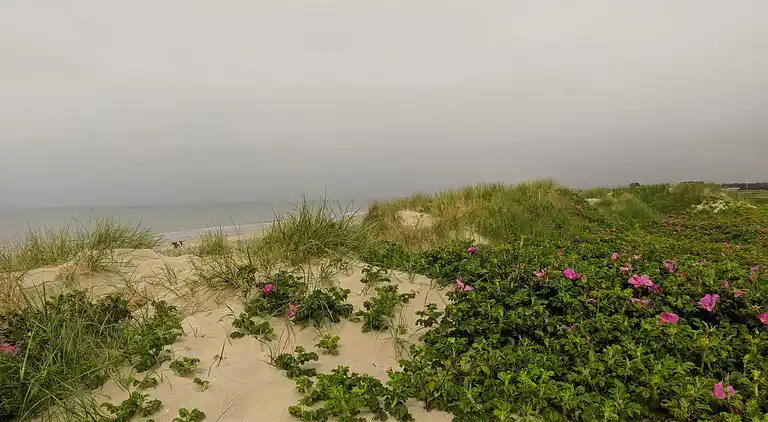 Holiday home in Blåvand