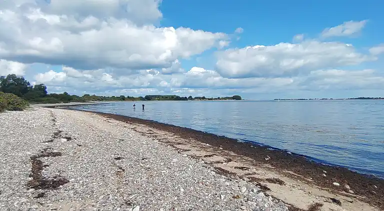 Vakantiehuis in Flovt Strand