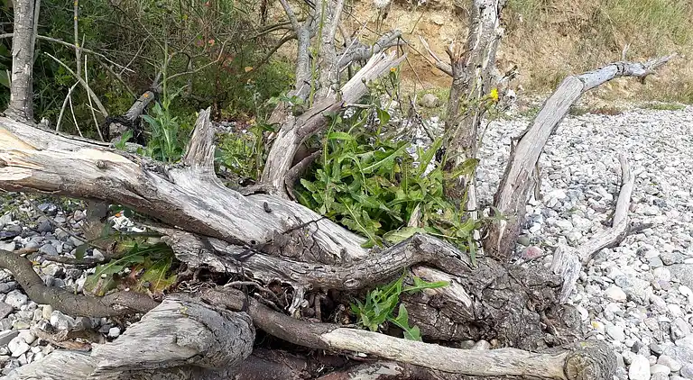 Vakantiehuis in Flovt Strand