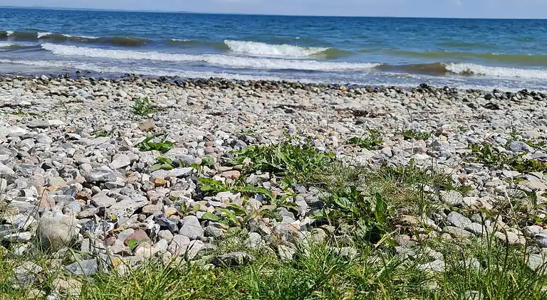 Vakantiehuis in Flovt Strand