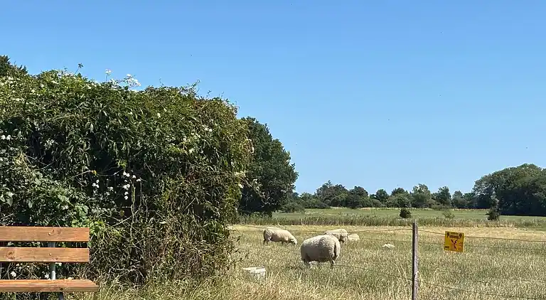 Holiday home in Stege