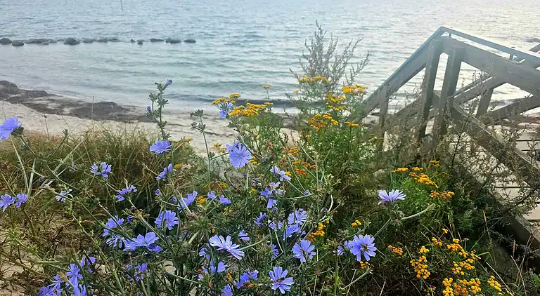 Holiday home in Stege