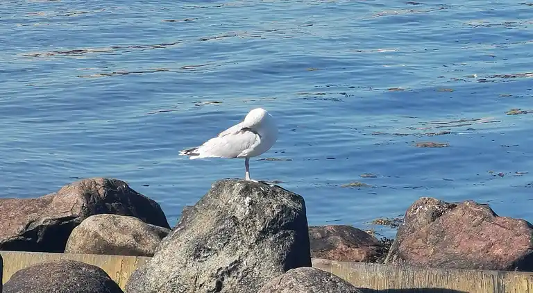 Holiday home in Frørup