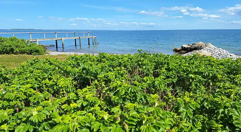 Holiday home in Frørup