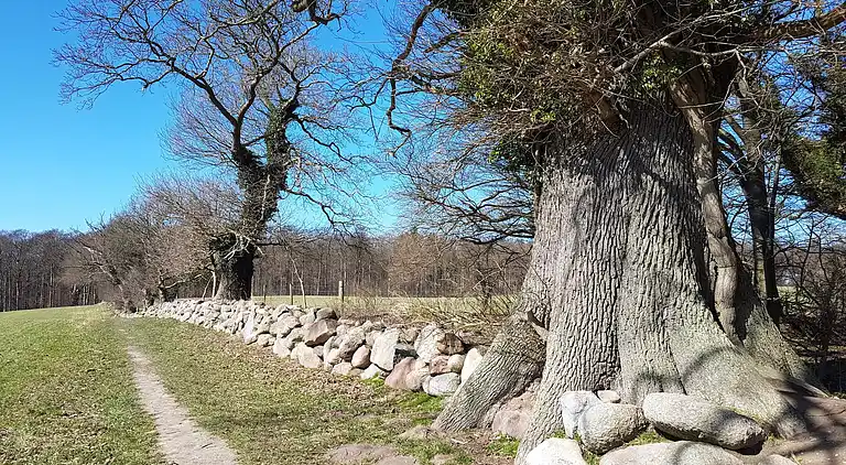 Casa vacanze in Vordingborg