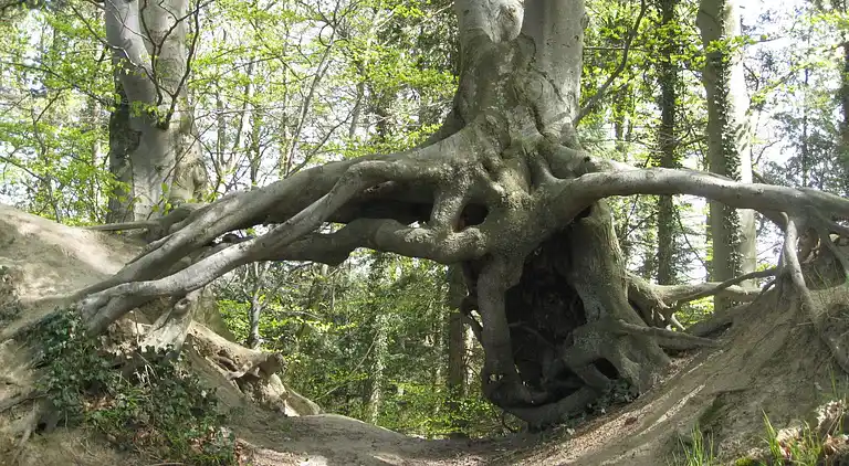 Casa vacanze in Vordingborg