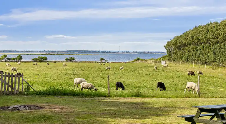 Ferielejlighed med havudsigt på Strynø