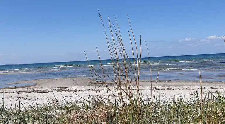 Semesterbostad i Ebberup