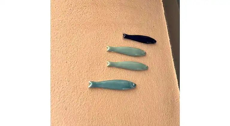 Vakantiehuis in Saint-Tropez