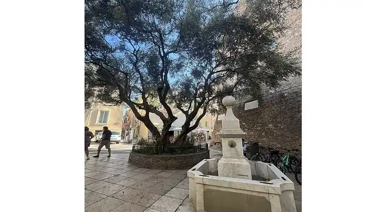 Vakantiehuis in Saint-Tropez