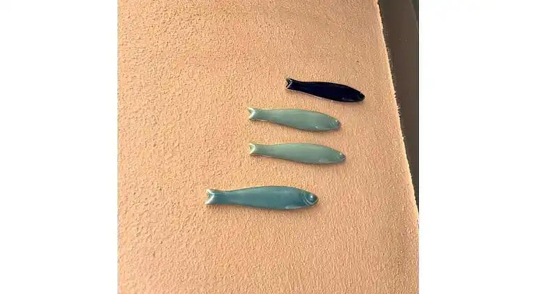 Vakantiehuis in Saint-Tropez