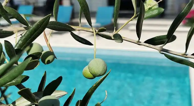 Ferienhaus in Stari grad