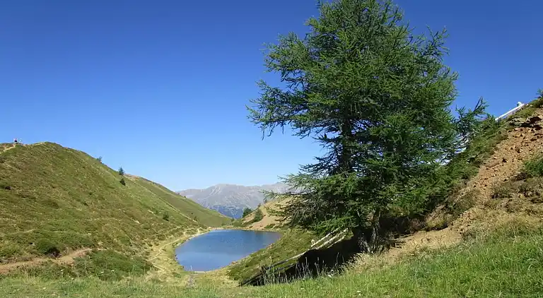 Ferienhaus in Tarsch