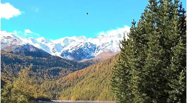 Ferienhaus in Tarsch