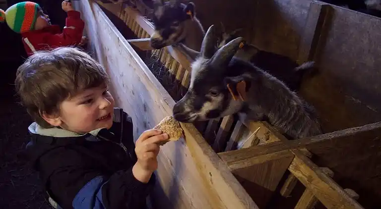 Ferienhaus in Tarsch